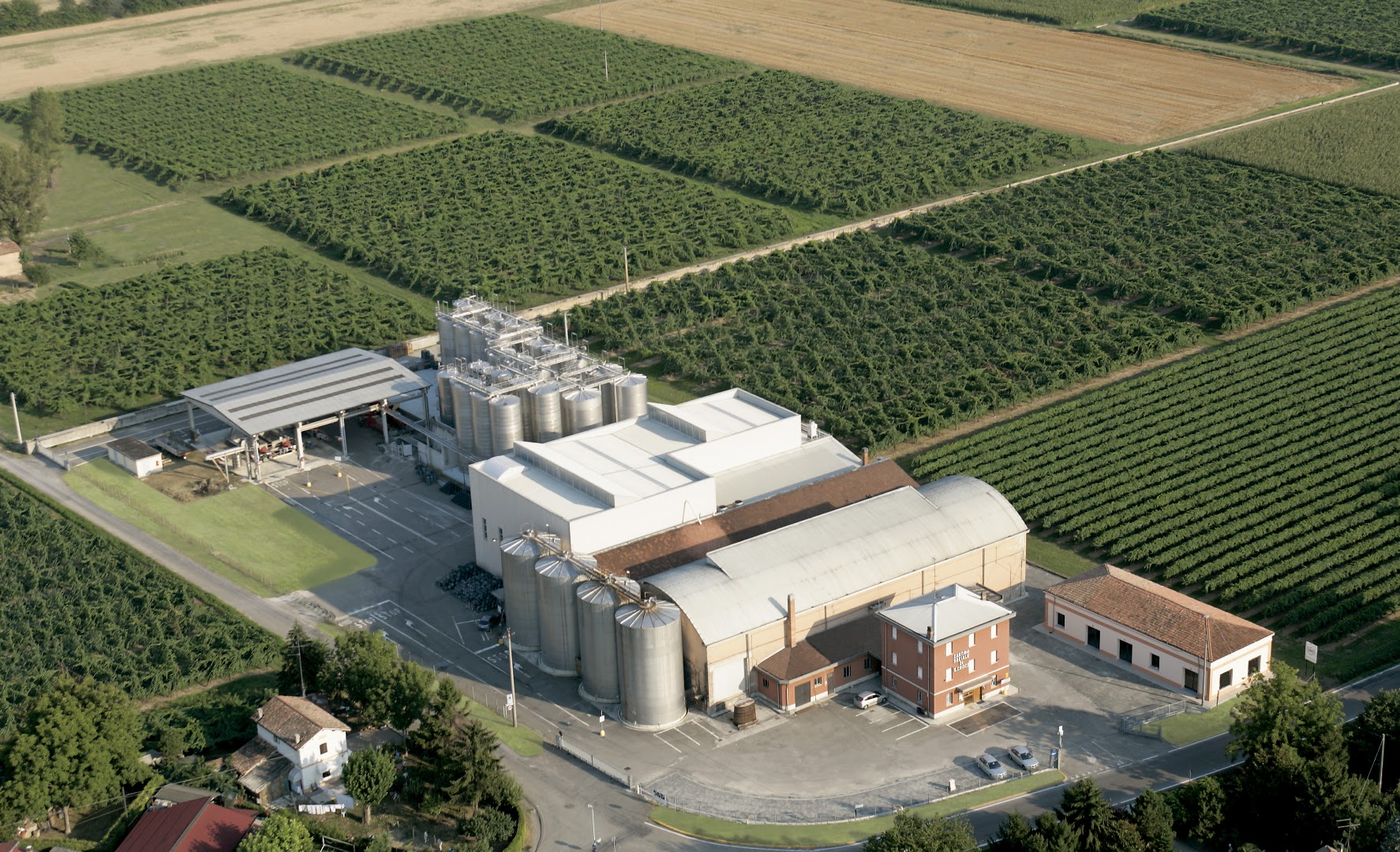 Cantina S.Croce, Carpi