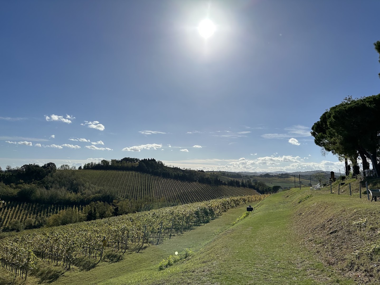 Cantina San Biagio Vecchio - Vino e Farina