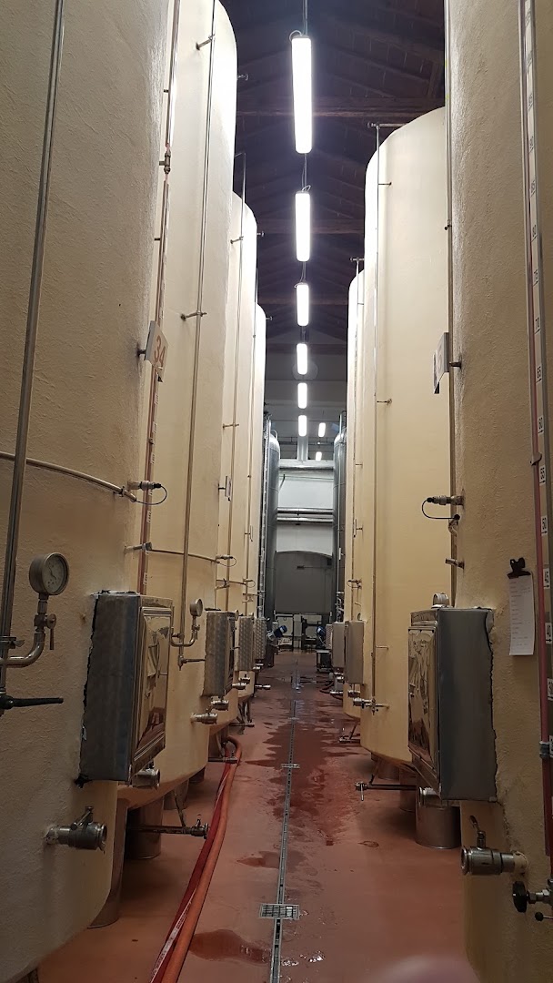 Cantina Settecani Castelvetro