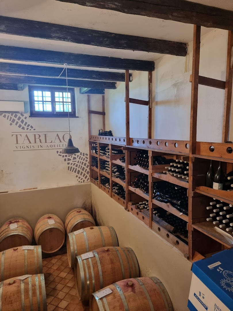 Cantina Tarlao Vignis in Aquileia