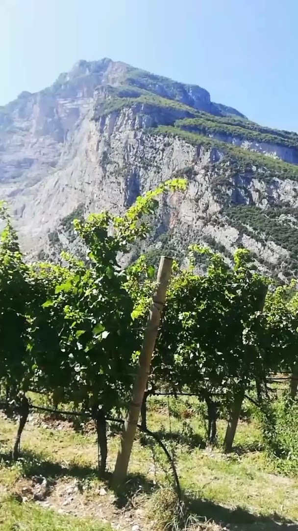 Cantina Toblino