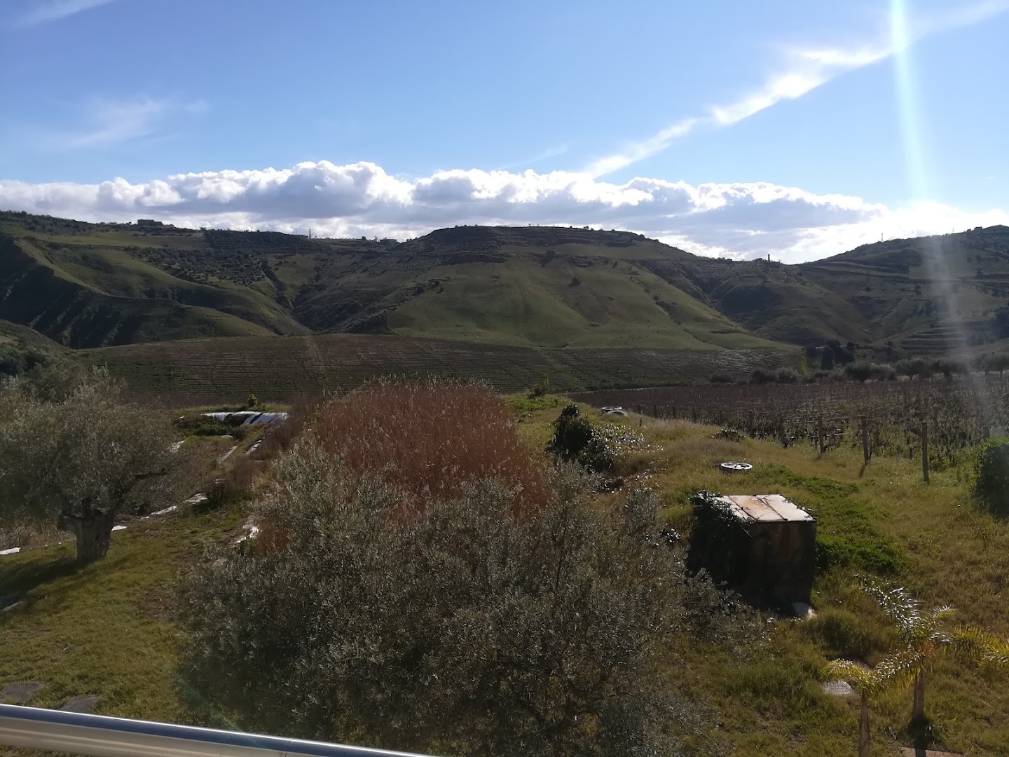 Cantina Tre Santi
