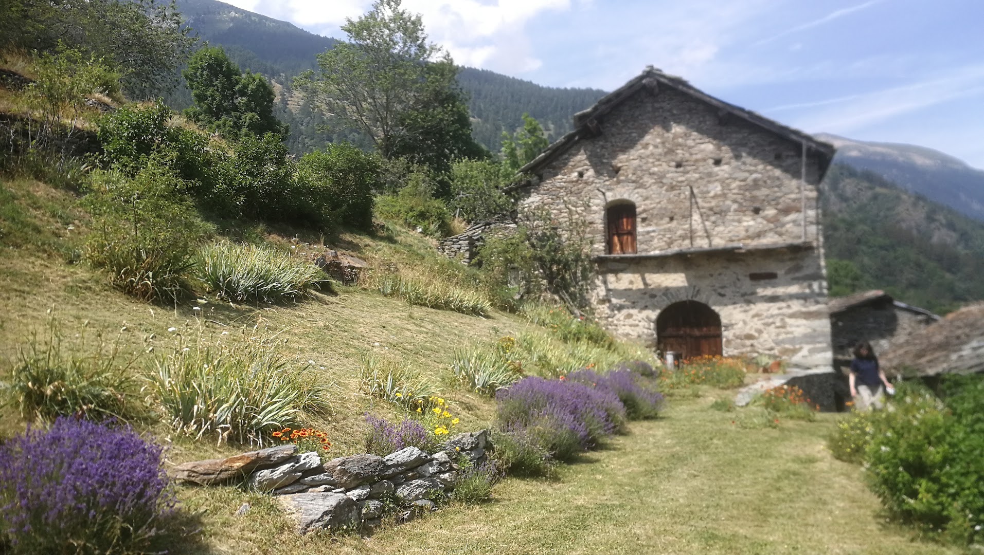 Cantina Alpina