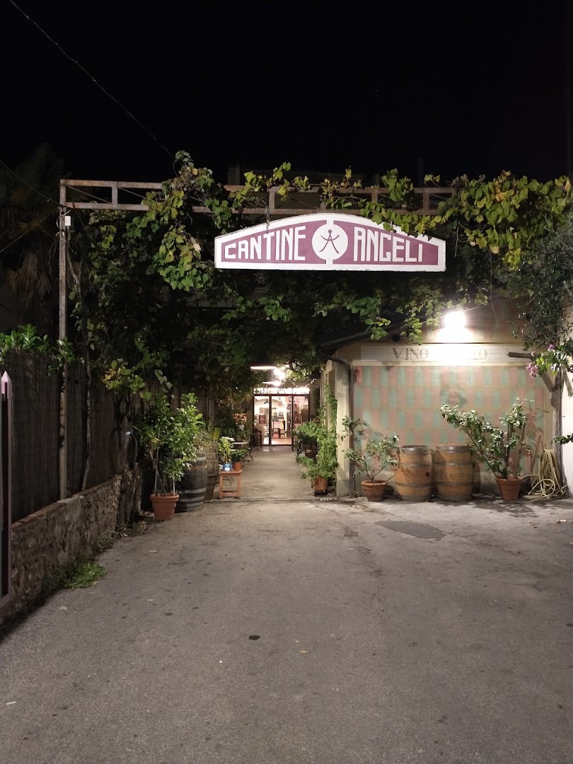 Cantine Angeli, Camaiore