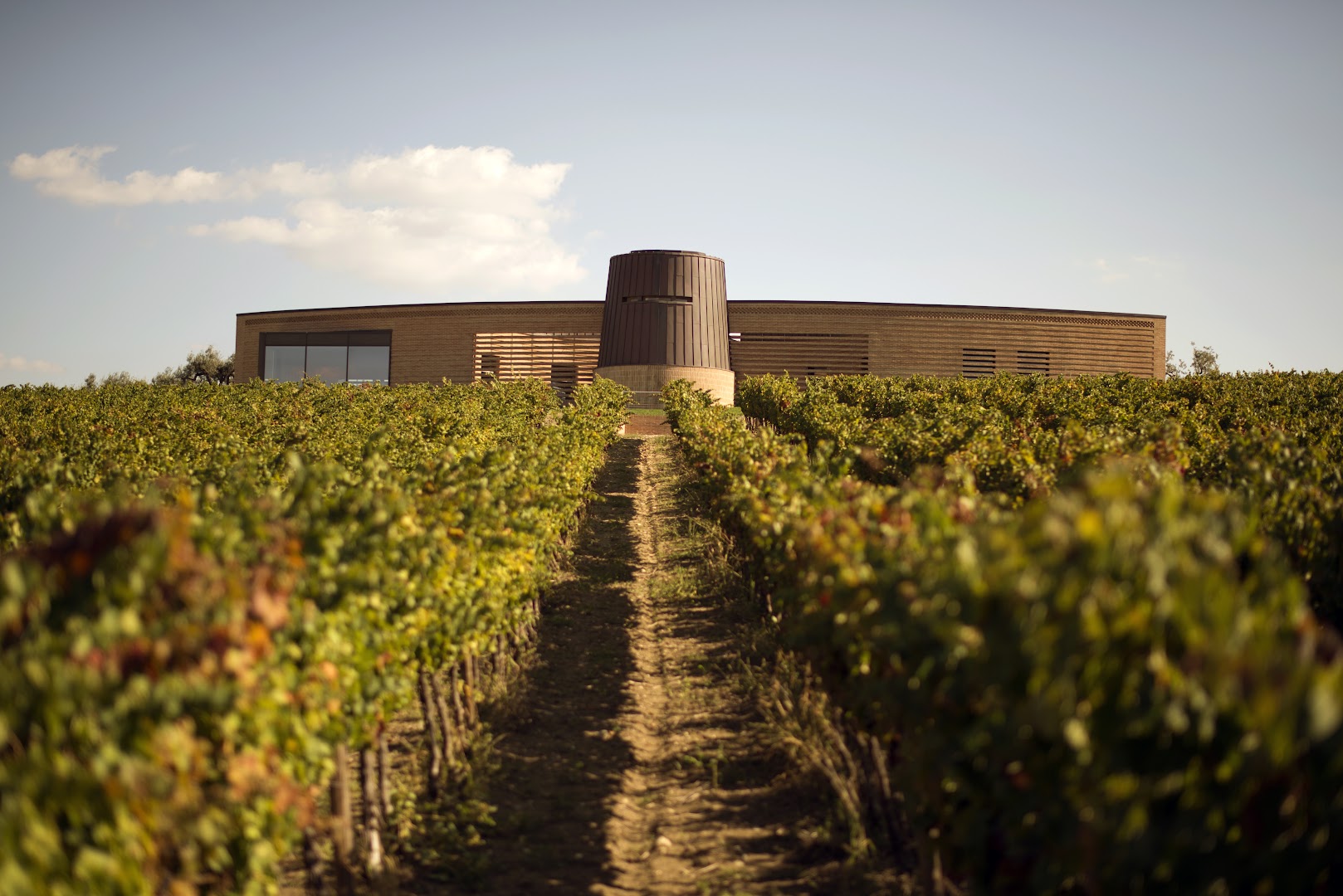 Cantine Briziarelli