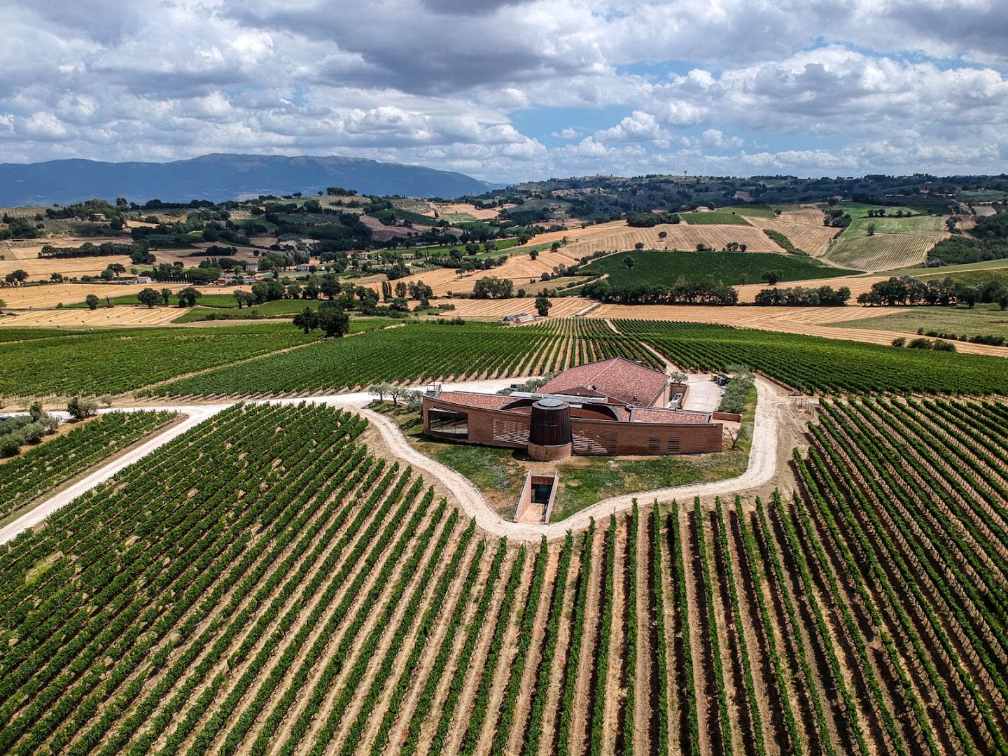 Cantine Briziarelli