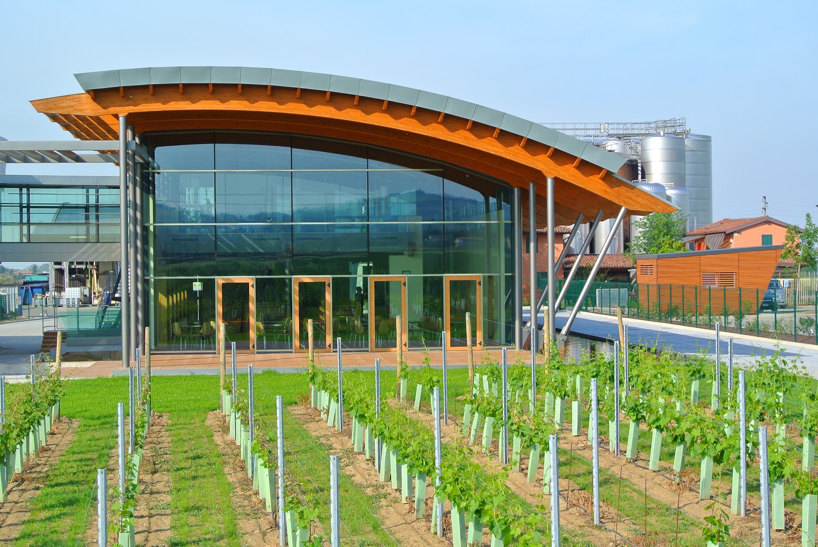 Cantine Sgarzi Luigi srl