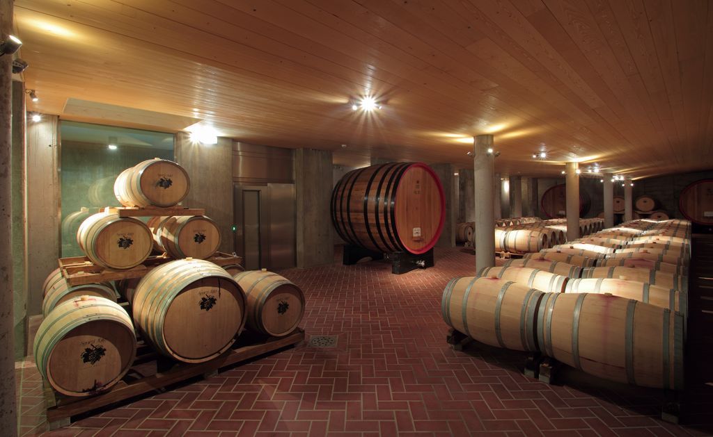 Cantine Sgarzi Luigi srl