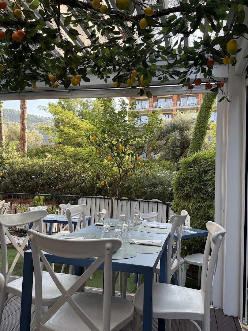 Capri Blu Sorrento - Pizzeria e Trattoria