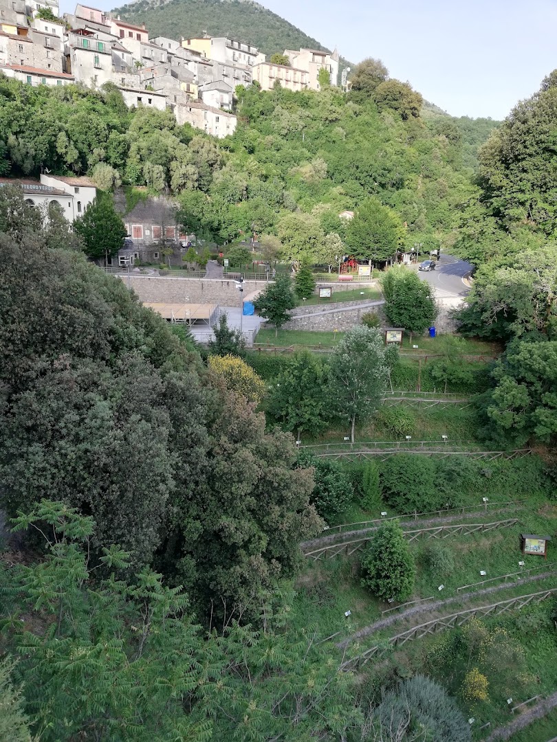 Caputo Ida