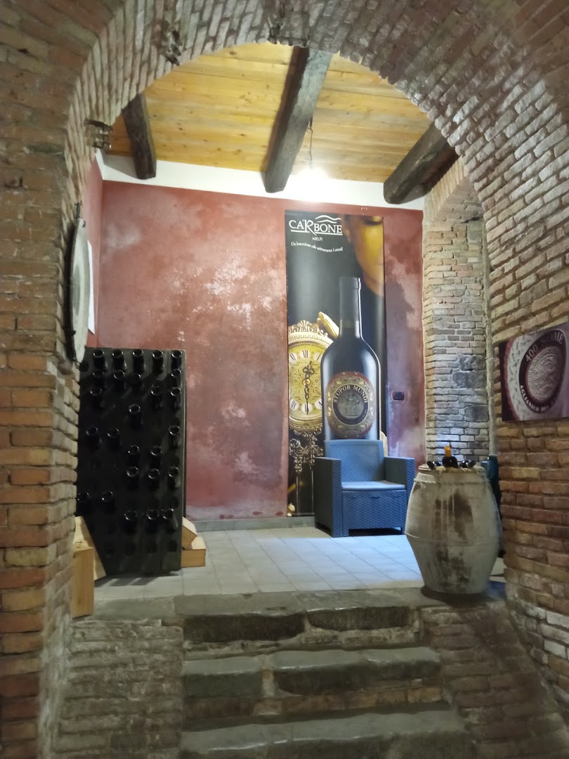 Carbone Vini