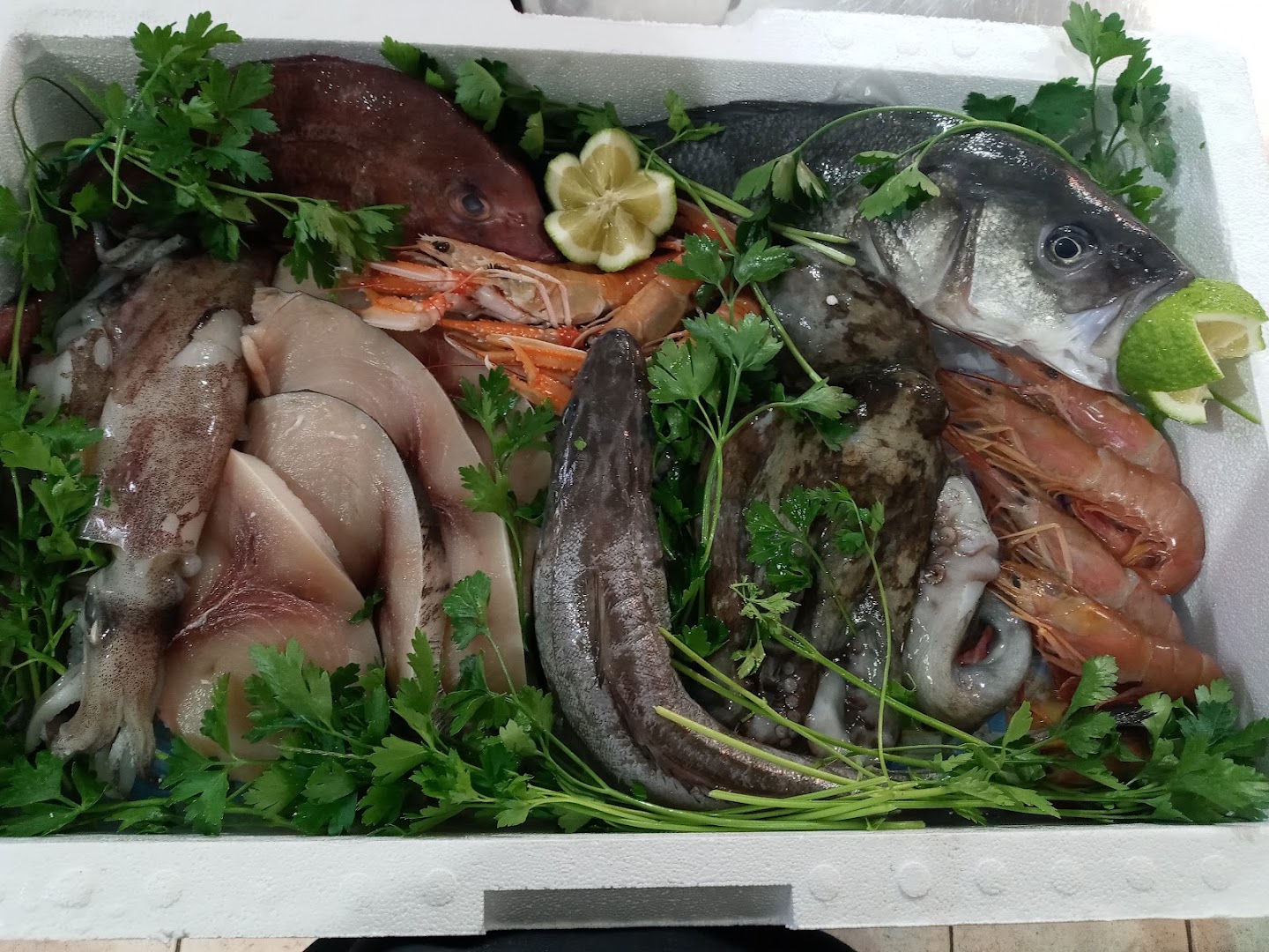 Casa del Pesce
