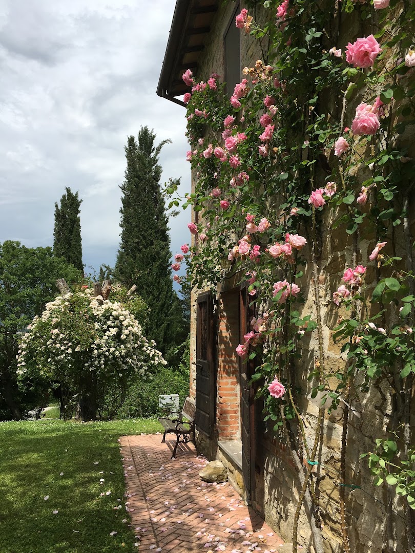 Casa Sangam - holistic retreat centre