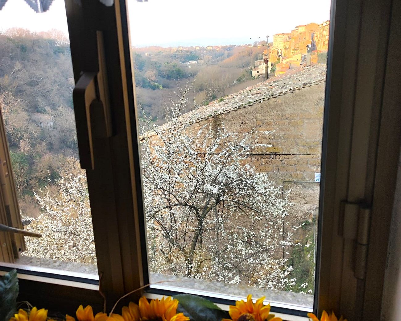 Casa Sulla Scarpata