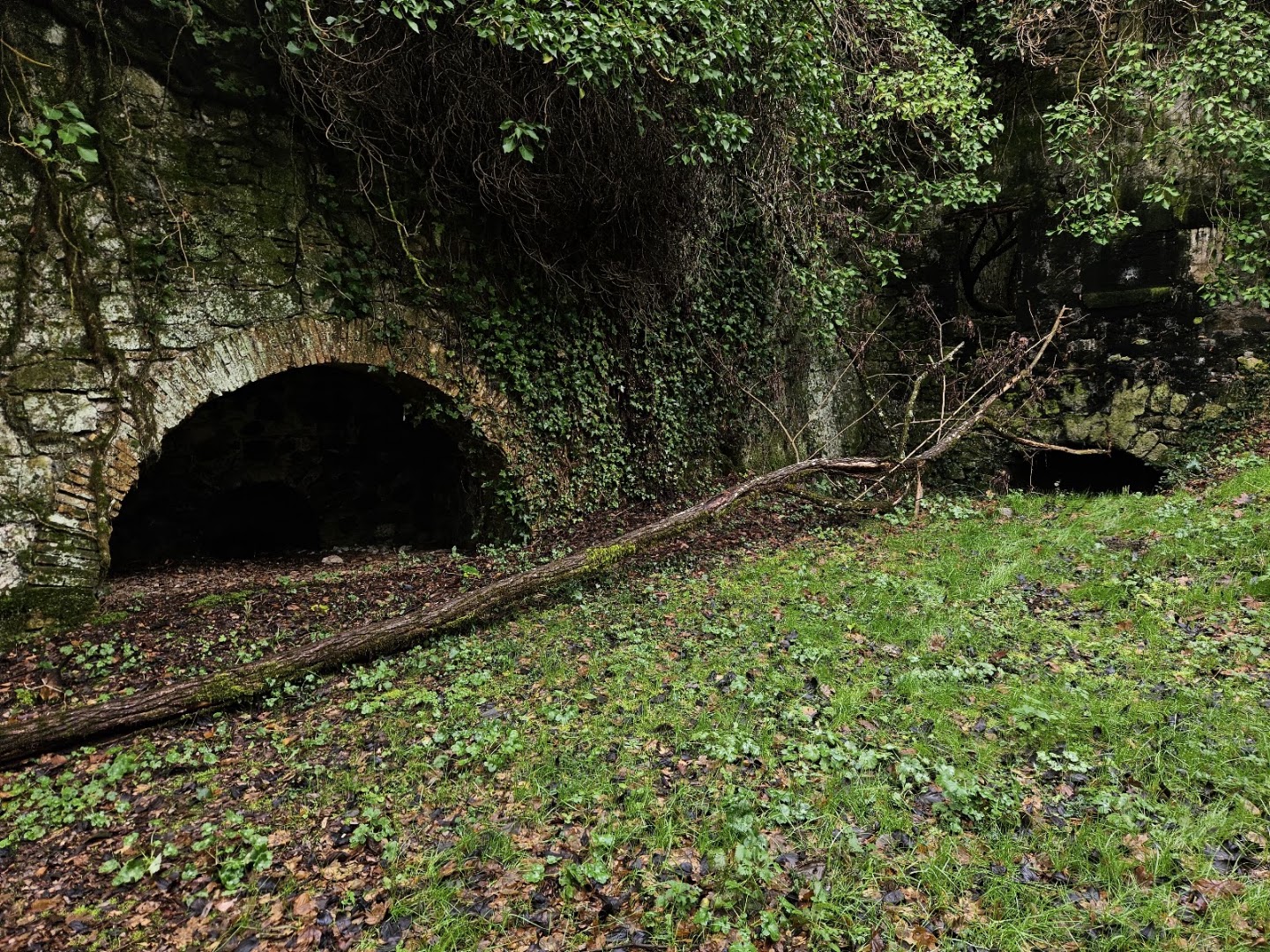 Cascata del Rio Chiaro (o della Ferriera)