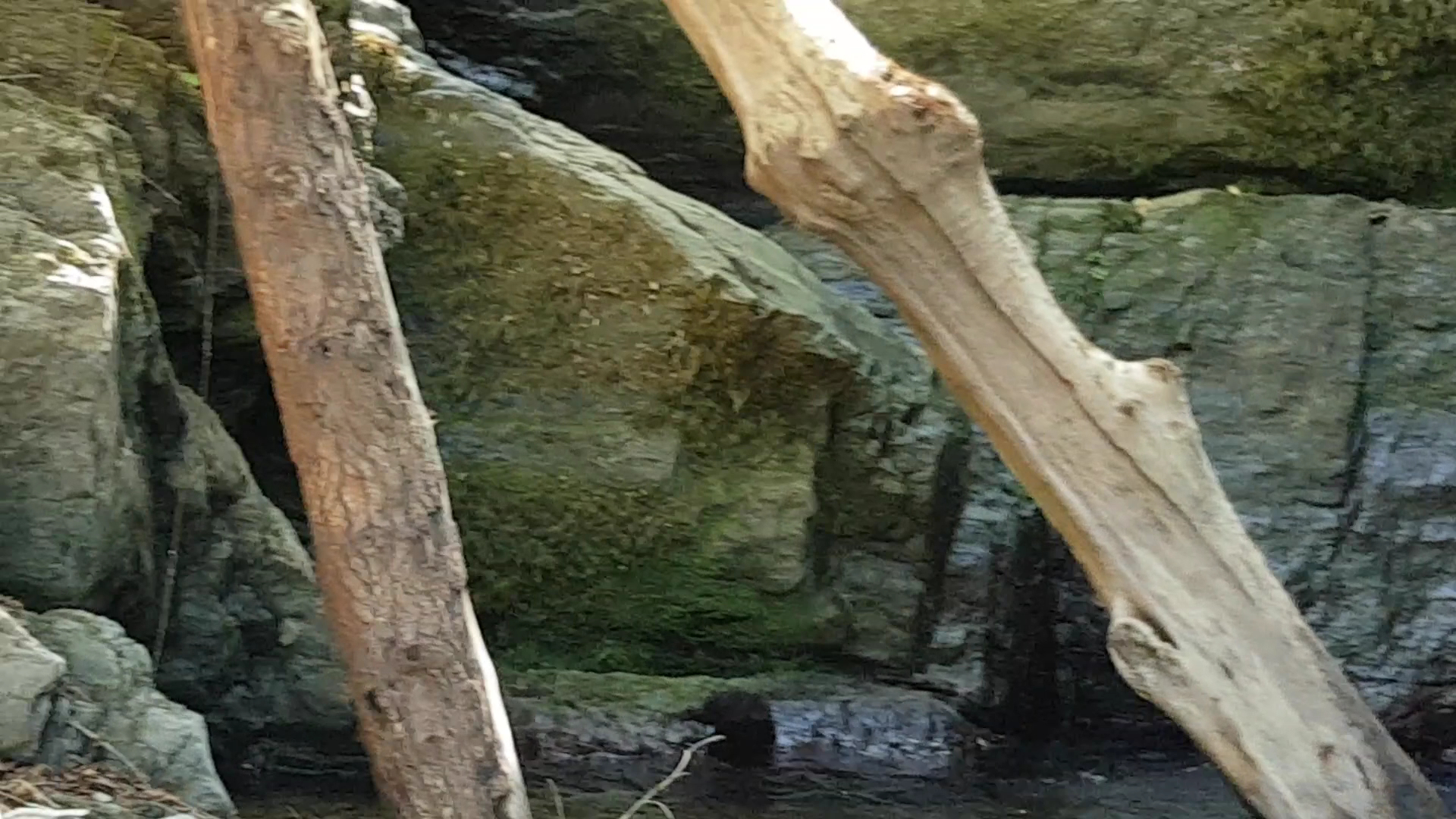 Cascata Della Colombara, Zeri