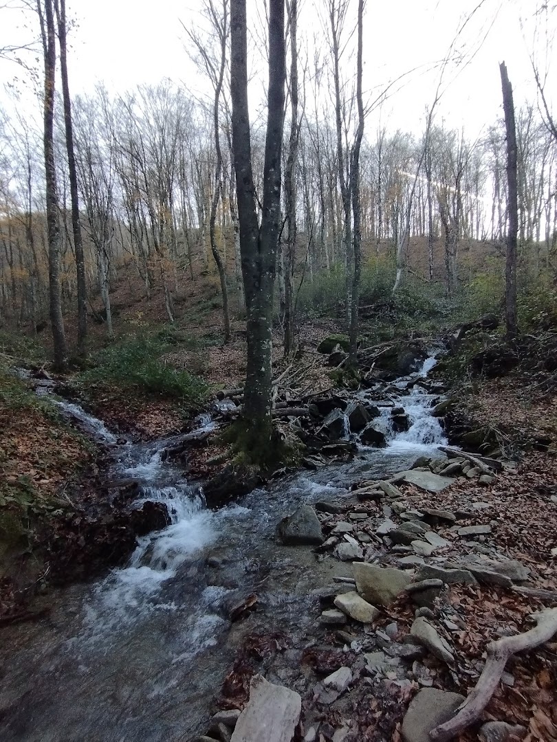 Cascata della Piscia