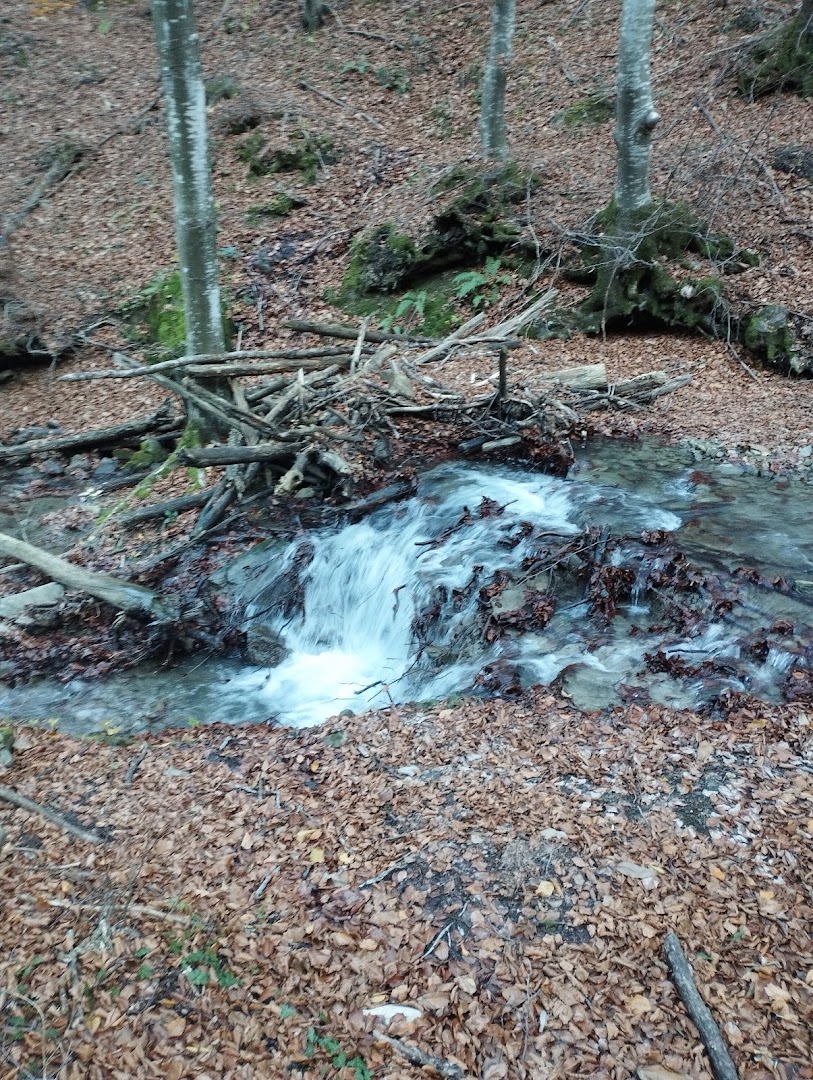 Cascata della Piscia