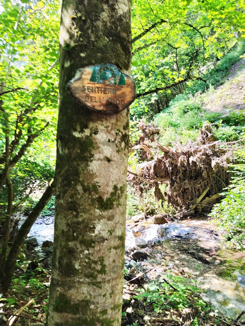 Cascata Fuas