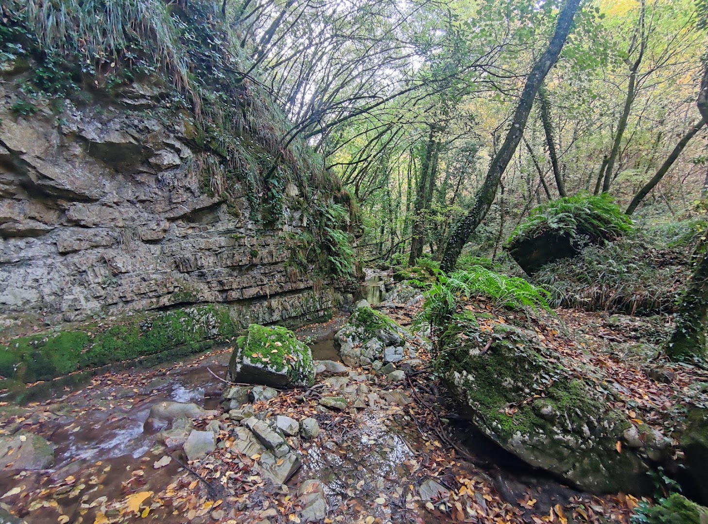 Cascate del Tuorno Savoia di Lucania
