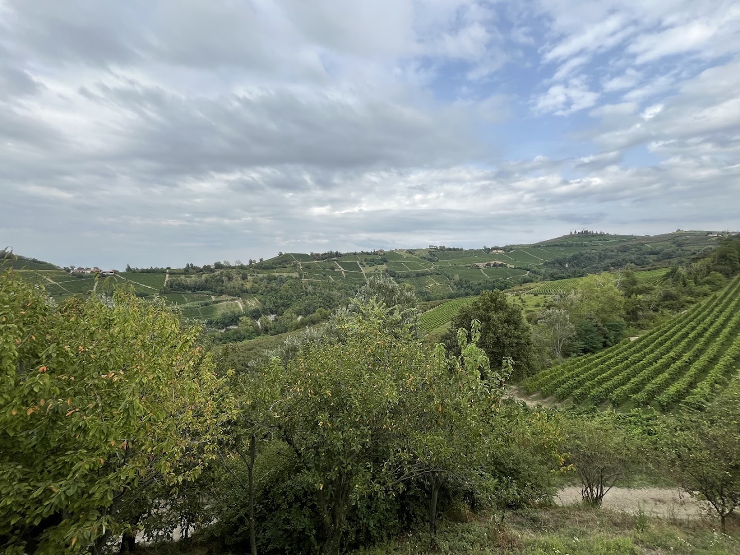Cascina Bricchetto Langhe