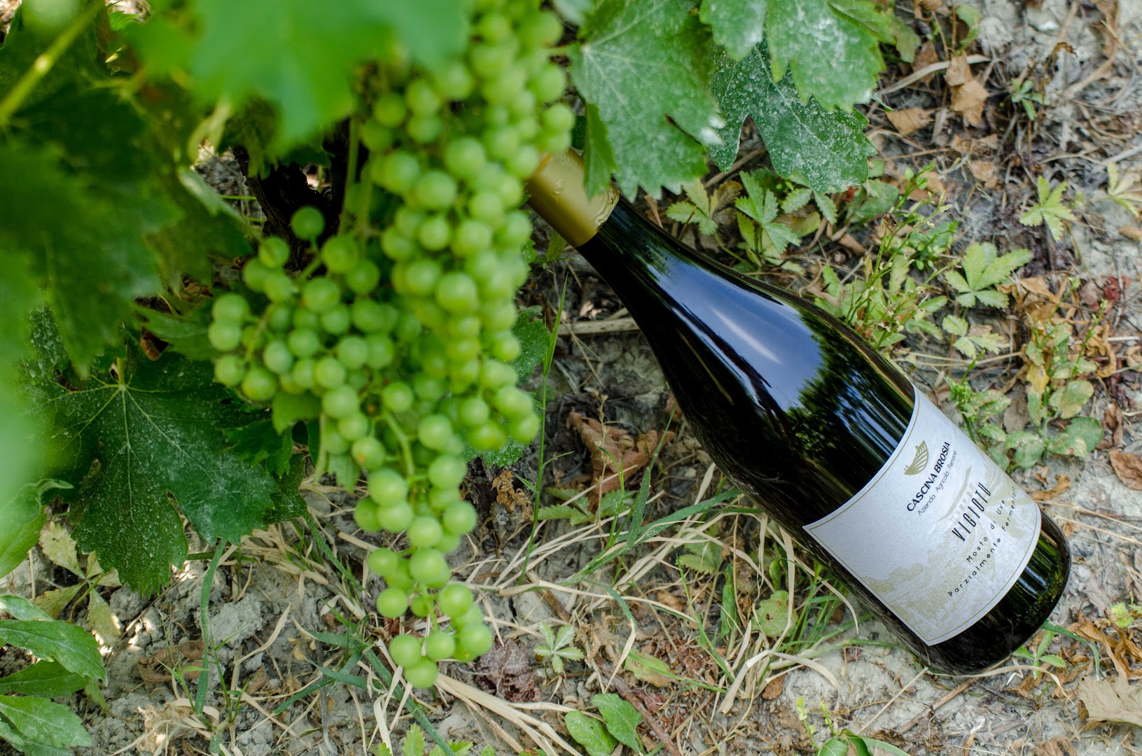 Cascina Brosia