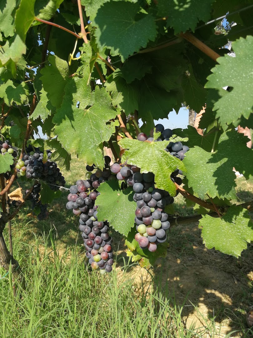 Cascina Collina