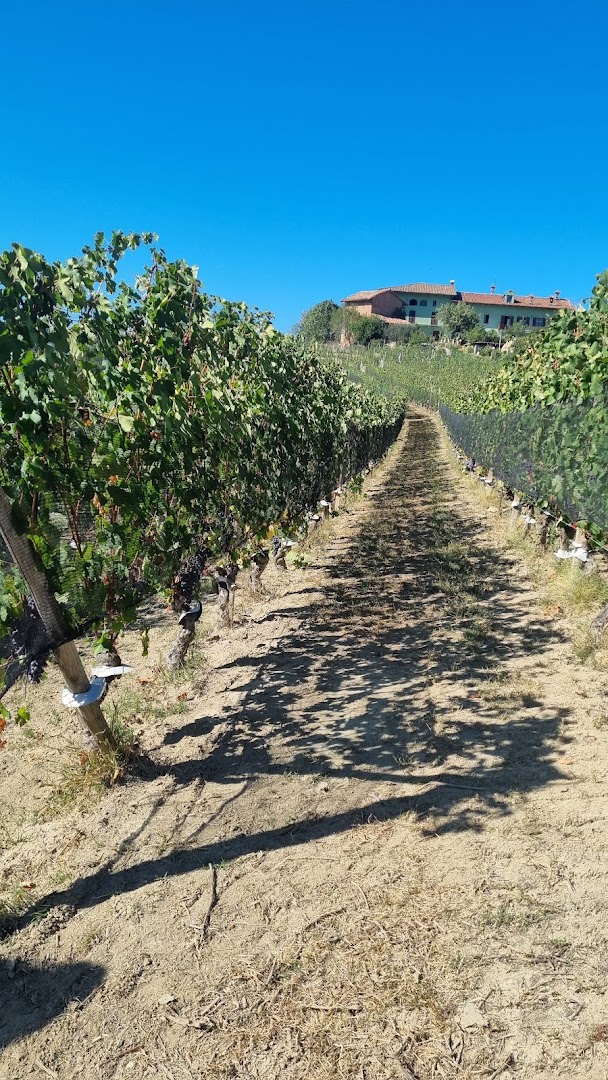 Cascina Gabutti Bussia, Monforte d'Alba