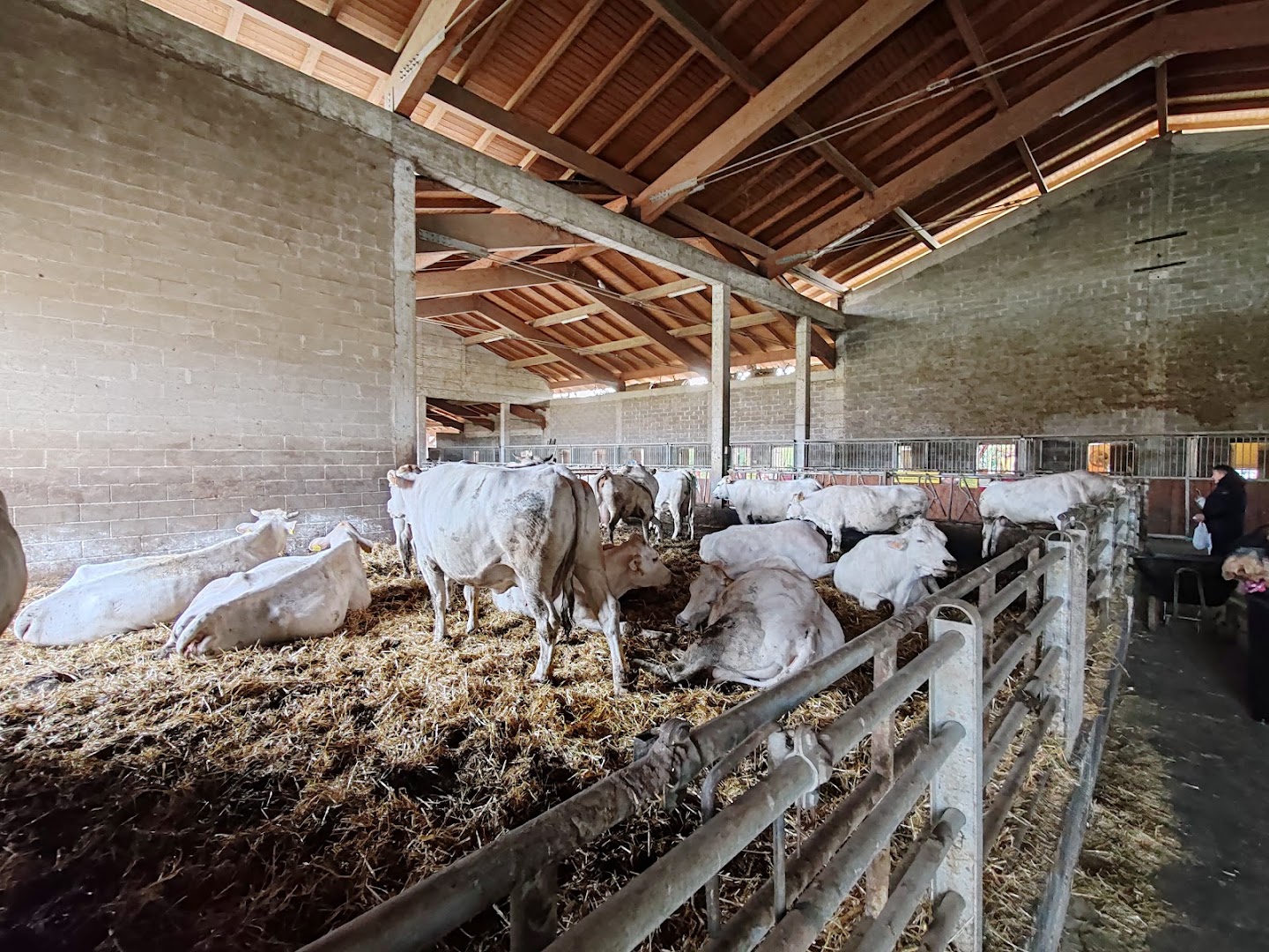 Cascina Reina