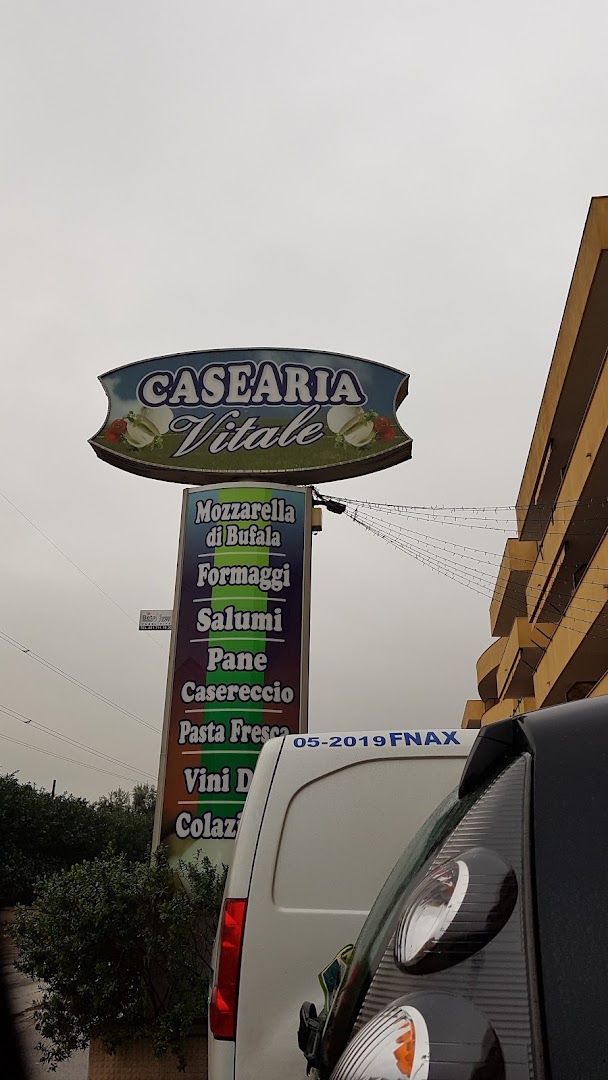 Casearia Vitale