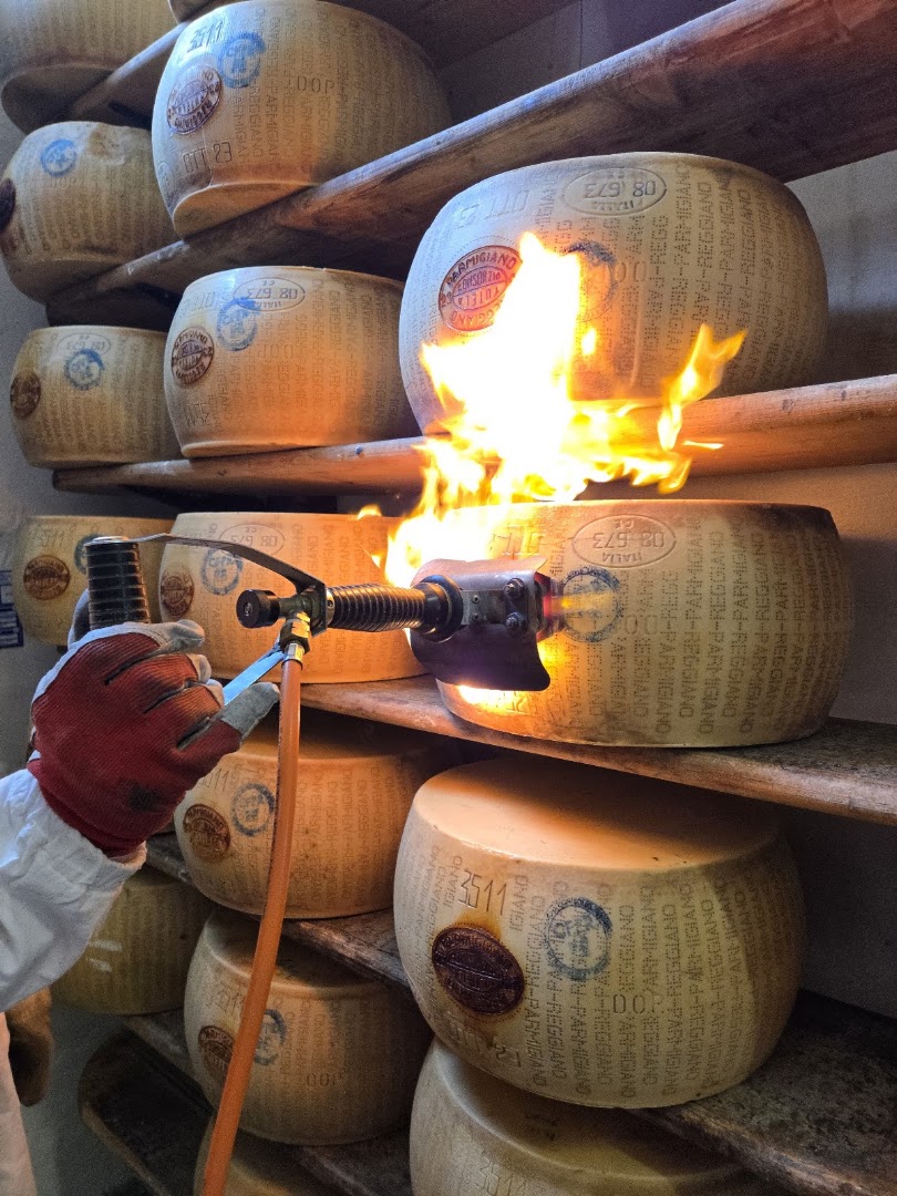Caseificio Castelnovese | Parmigiano Reggiano Modena, Castelnuovo Rangone