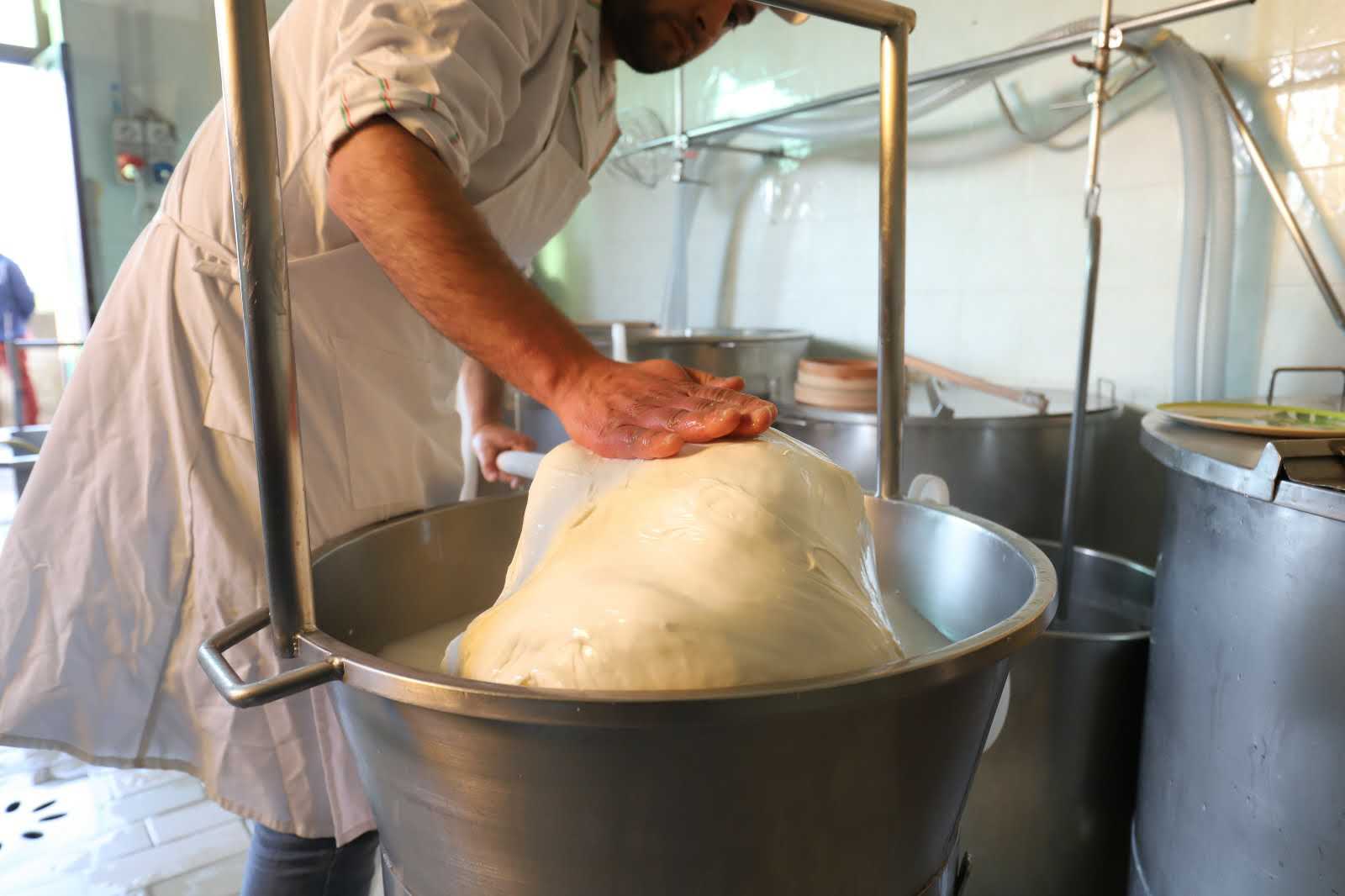 Caseificio e macelleria aziendale Carmine Di Lione, Colliano