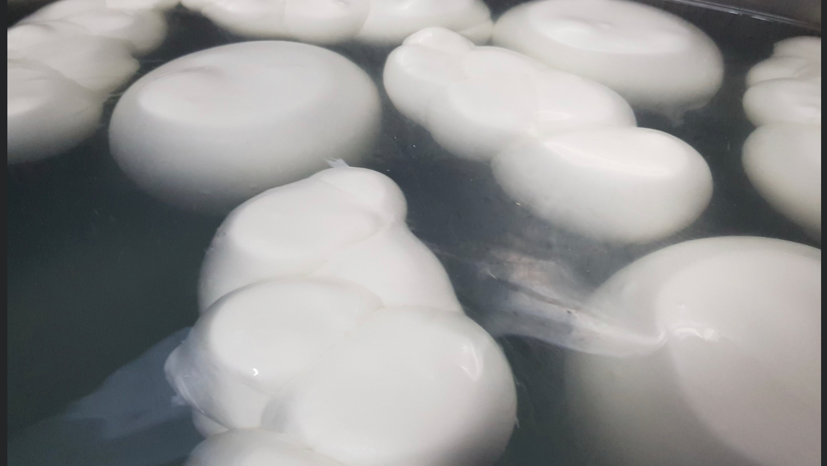 CASEIFICIO LA MOZZARELLA DOC