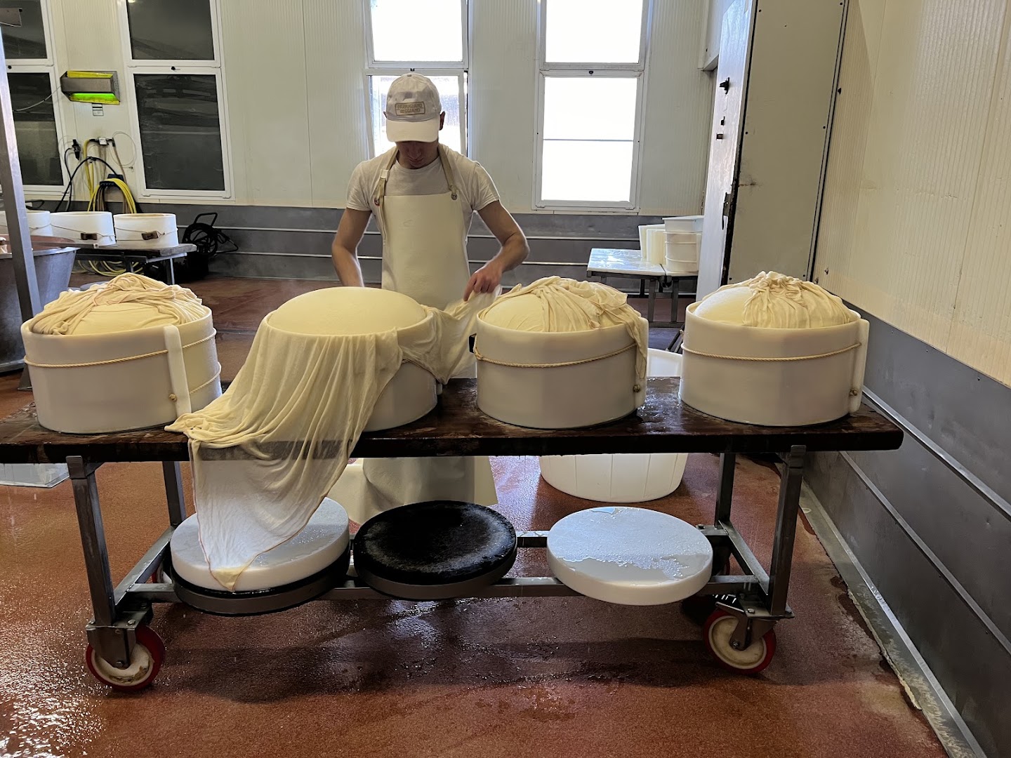 Caseificio Parmigiano Bio Reggiani - Reggiano BIO, Castelfranco Emilia