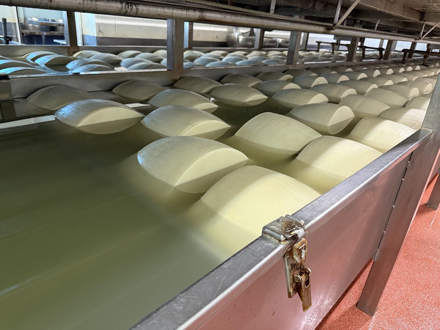 Caseificio Parmigiano Bio Reggiani - Reggiano BIO