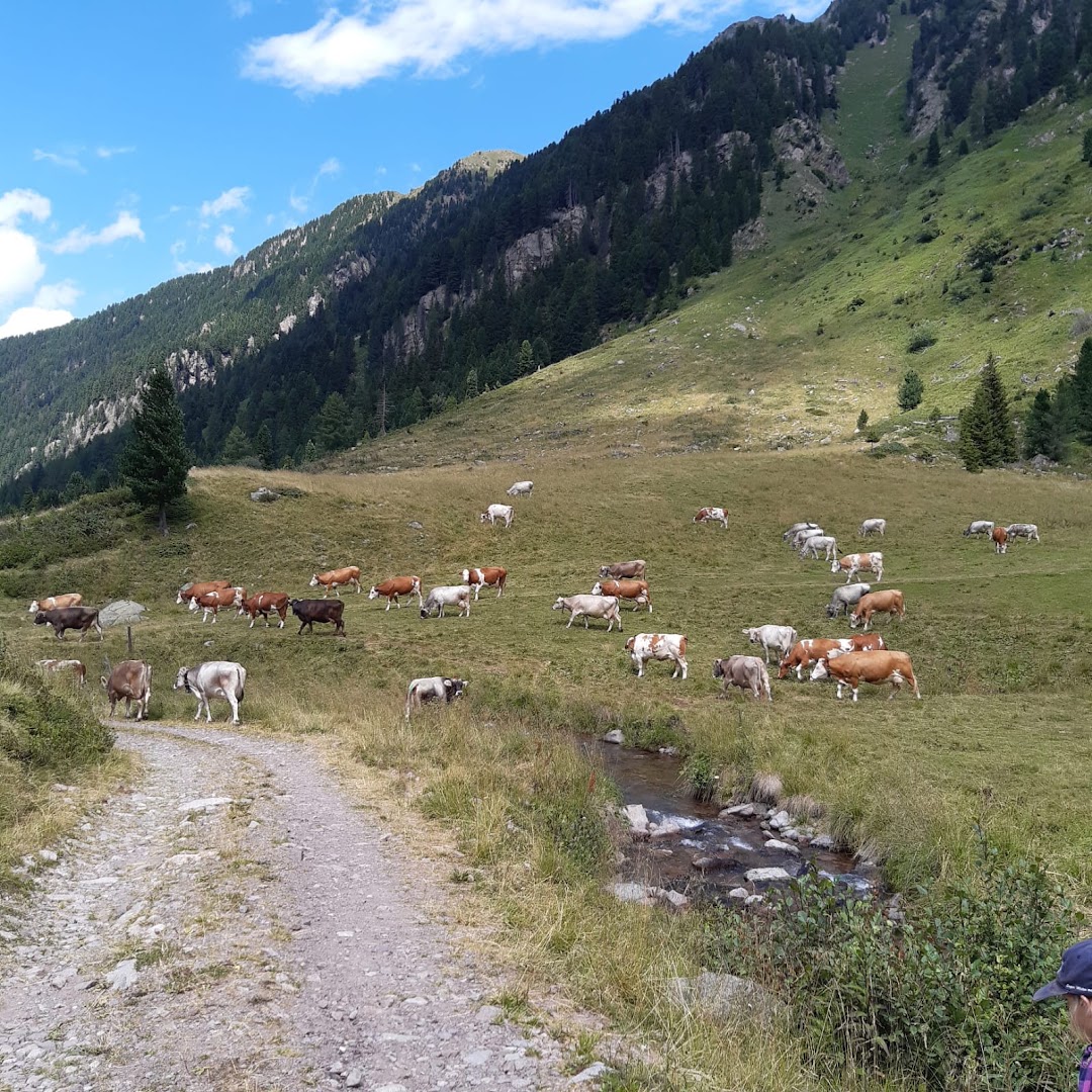 Caseificio Sociale Val di Fiemme Cavalese S. C. A.
