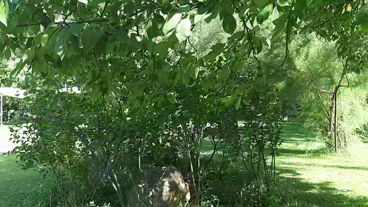 Casetta nel Parco