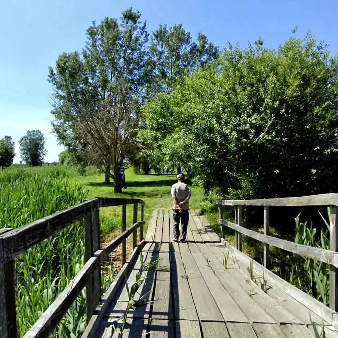 Casoni Della Fogolana