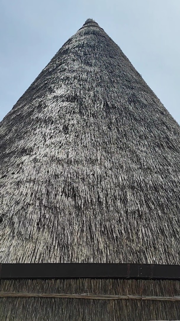 Casoni Della Fogolana