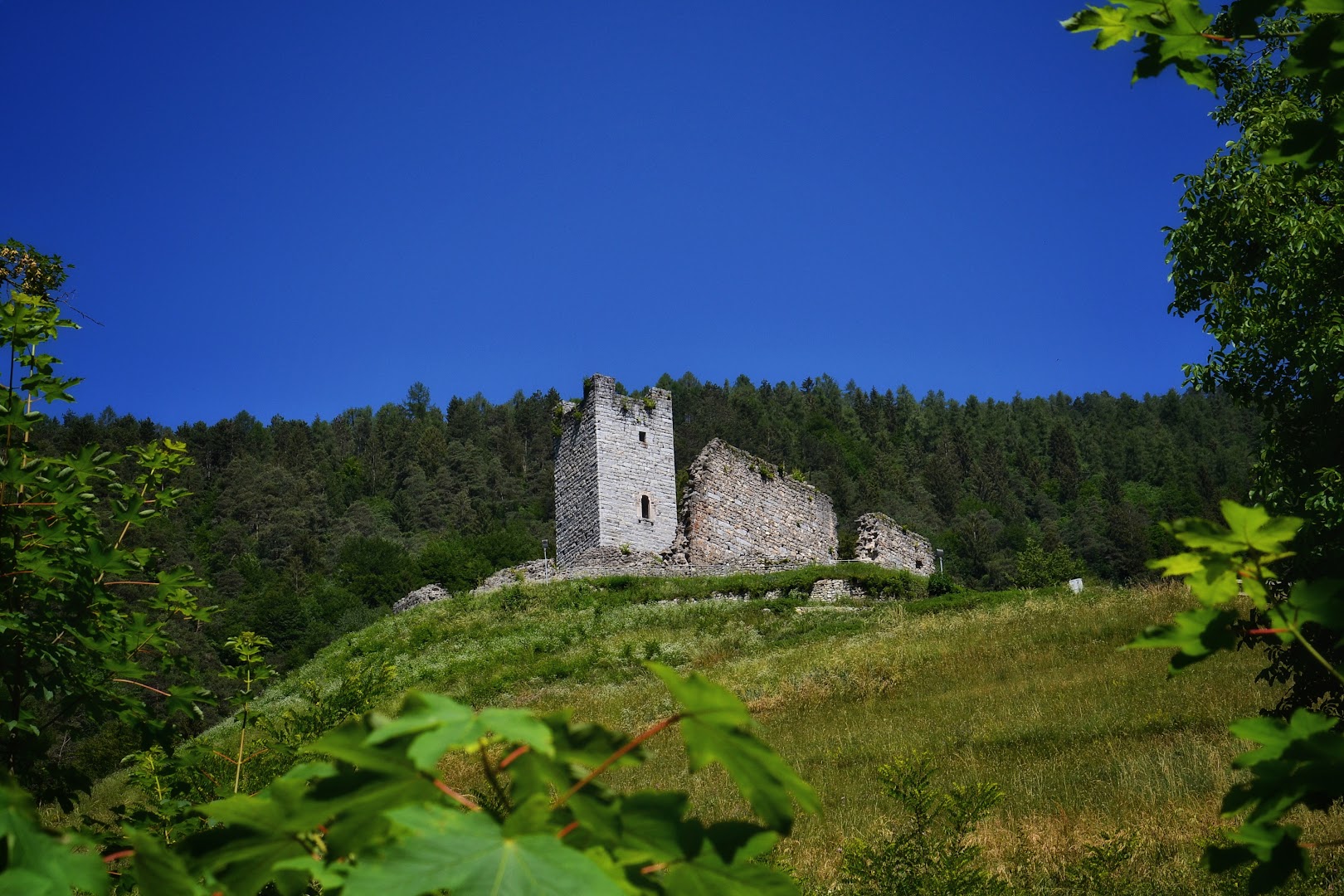 Castel Restor