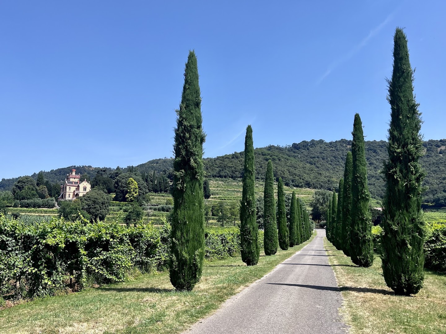 Castello Bonomi Tenute In Franciacorta