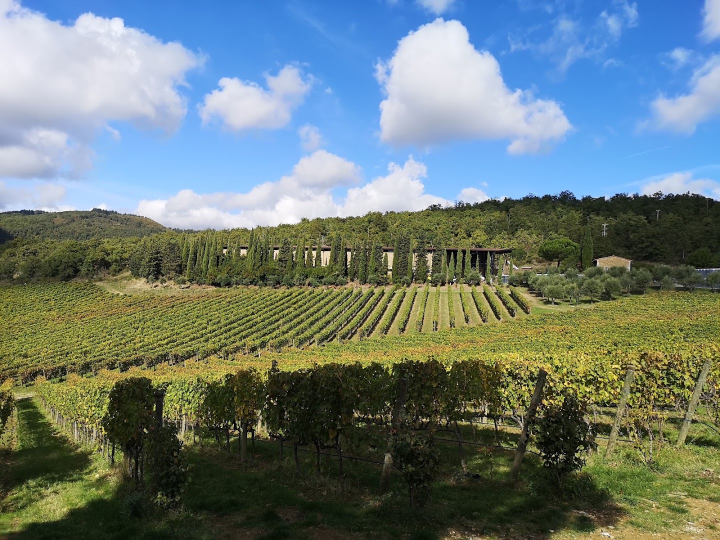 CASTELLO DI ALBOLA