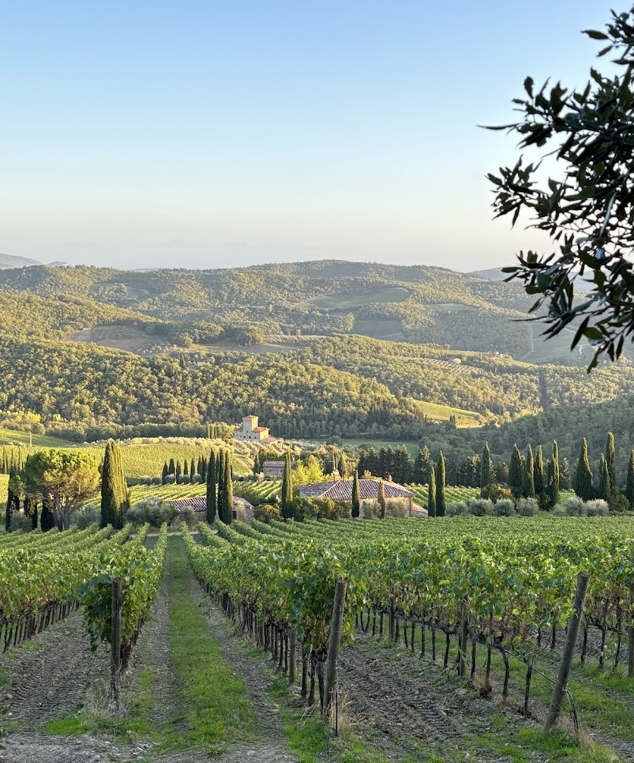 CASTELLO DI ALBOLA