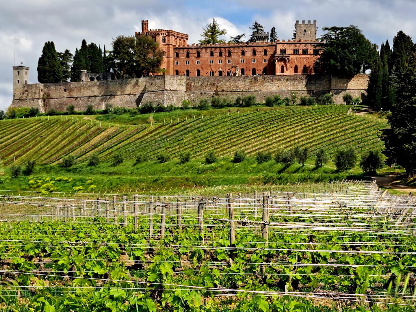 Castello di Brolio Wine & Tour