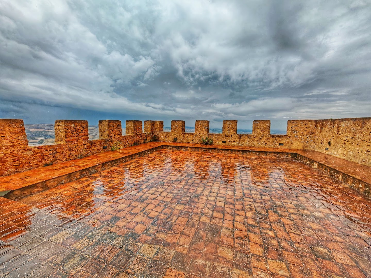 Castello di Naro, Naro