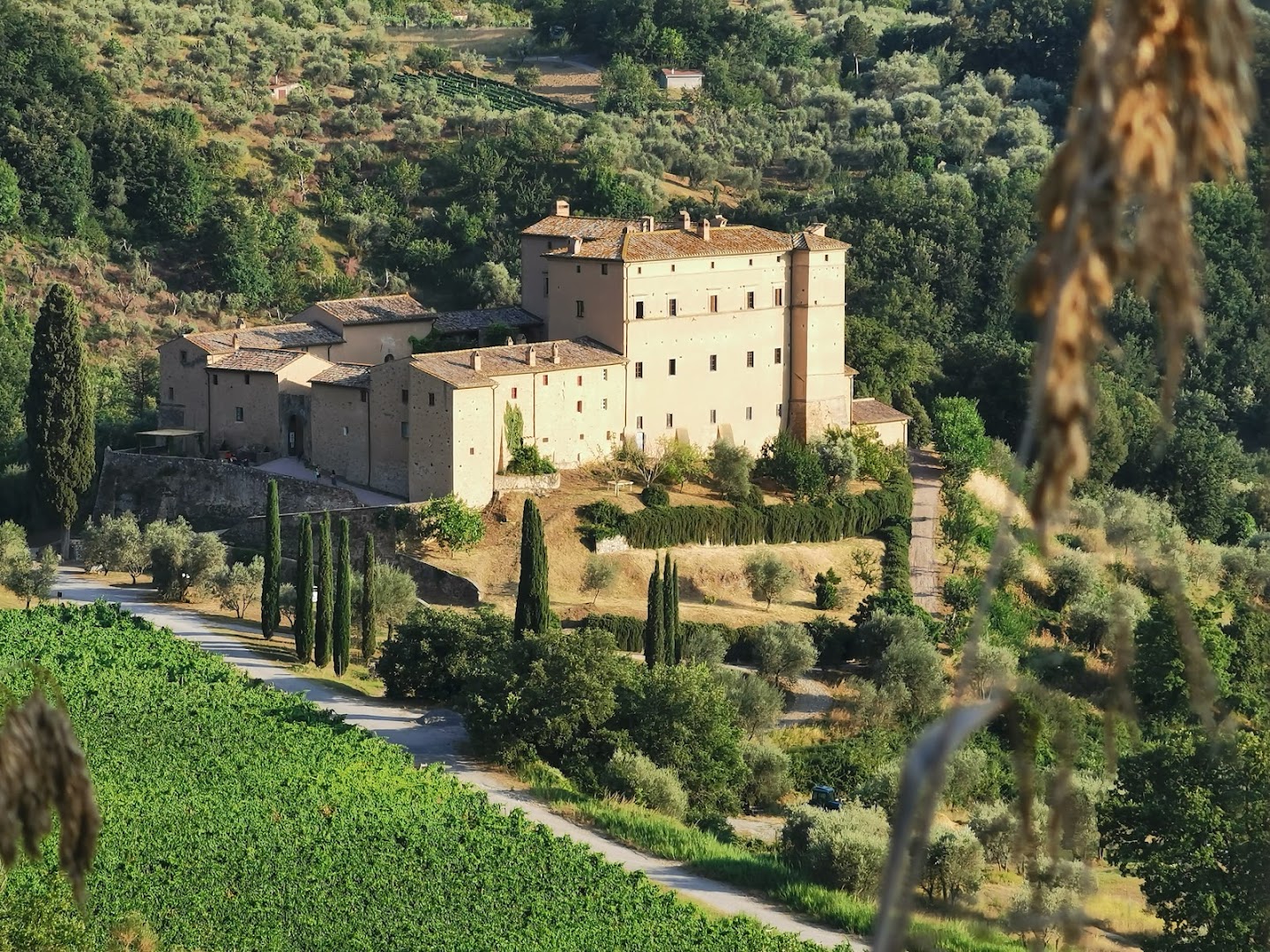 Castello Di Potentino