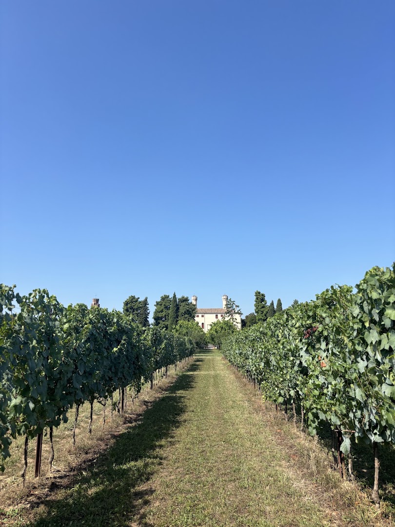 Castello di Roncade, Roncade