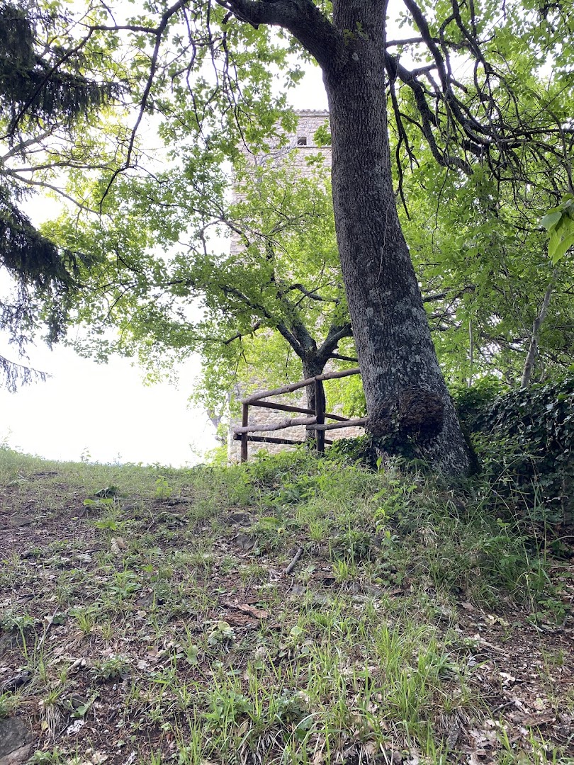 Castello e torre di Montequestiolo (ruderi) Zocca (MO)