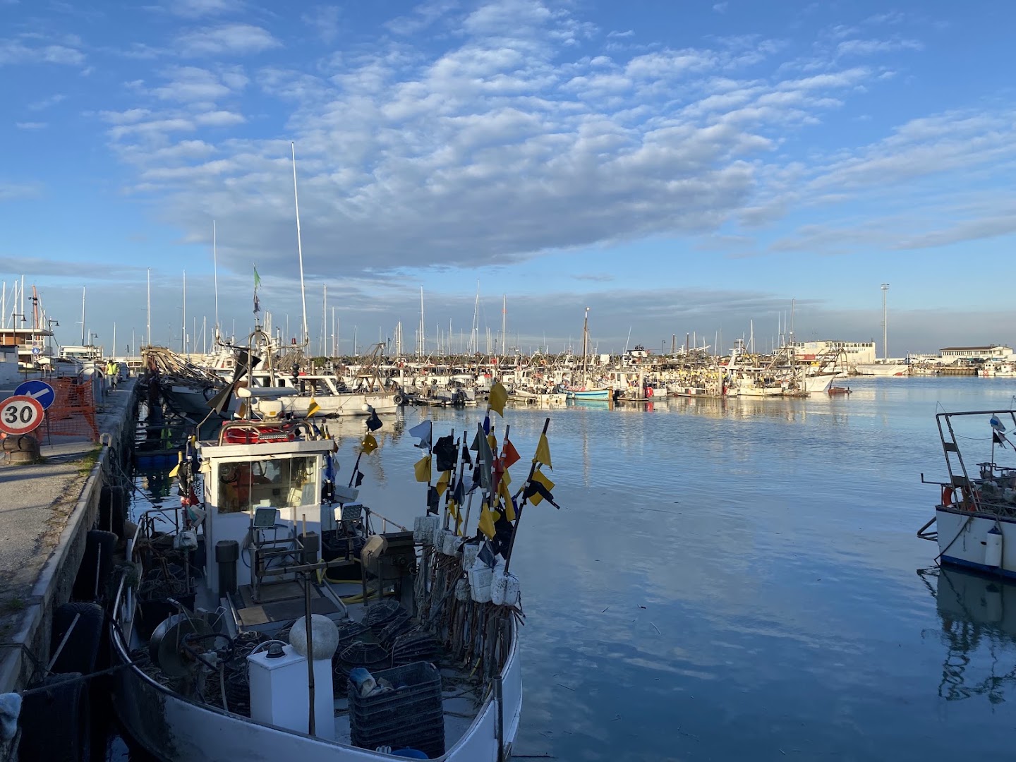 Cattolica (Porto), Cattolica