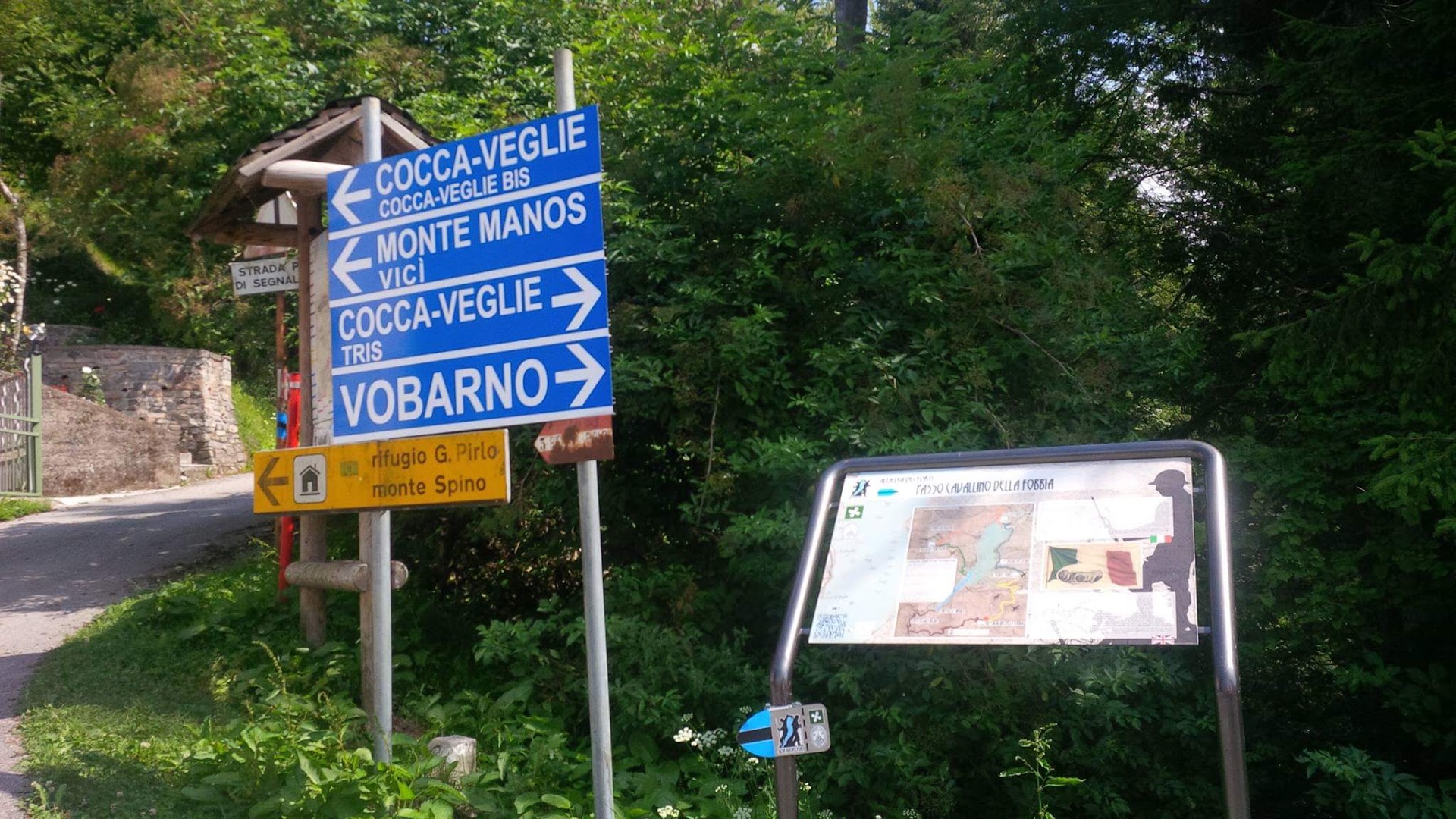 Cavallino della fobbia